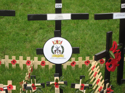 Plot 229